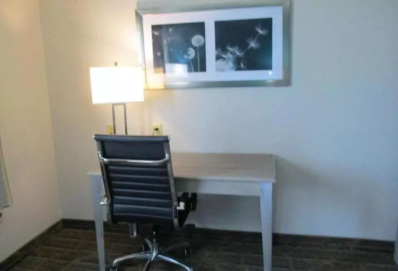 身障者適用キングサイズベッドルーム, Best Western Presidential Hotel & Suites