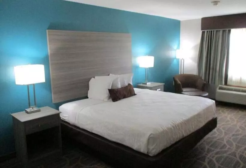 身障者適用キングサイズベッドルーム, Best Western Presidential Hotel & Suites
