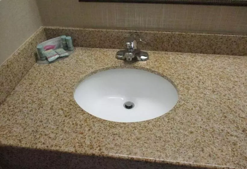 身障者適用キングサイズベッドルーム, Best Western Presidential Hotel & Suites
