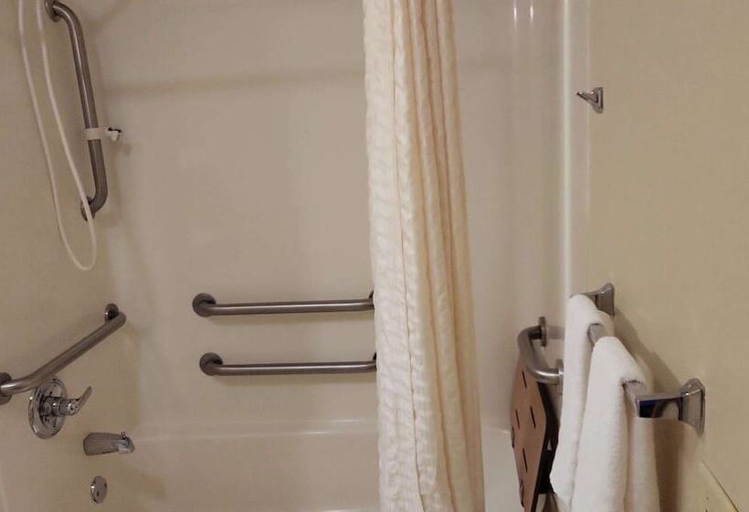 جناح لذوى الاحتياجات الخاصة, Best Western Wittenberg Inn