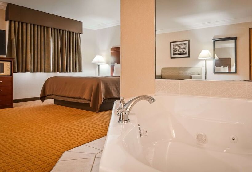 جناح لذوى الاحتياجات الخاصة, Best Western Wittenberg Inn