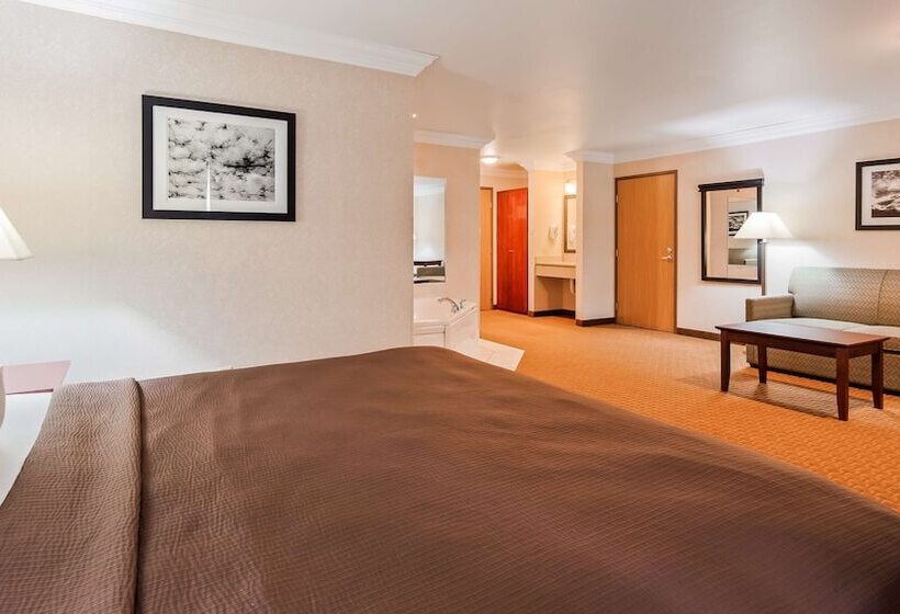 Люкс Адаптированный для Инвалидов, Best Western Wittenberg Inn