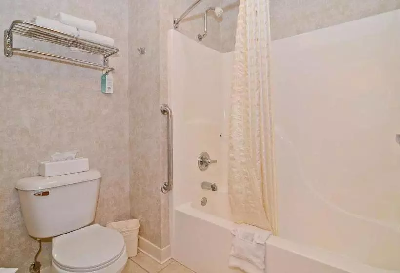 Standard-huone, Best Western Wittenberg Inn