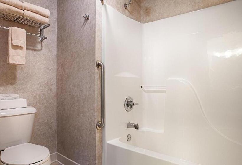 جناح سرير كينج, Best Western Wittenberg Inn