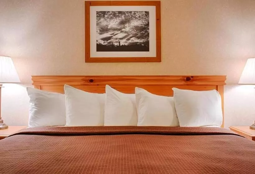 Sviitti King-vuode, Best Western Wittenberg Inn