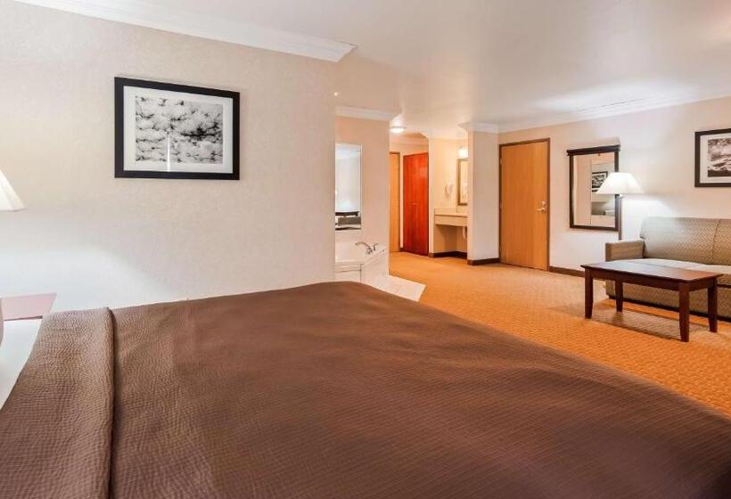 Люкс Кровать Кинг, Best Western Wittenberg Inn