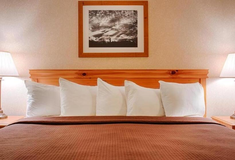 غرفة قياسية سرير كينج, Best Western Wittenberg Inn