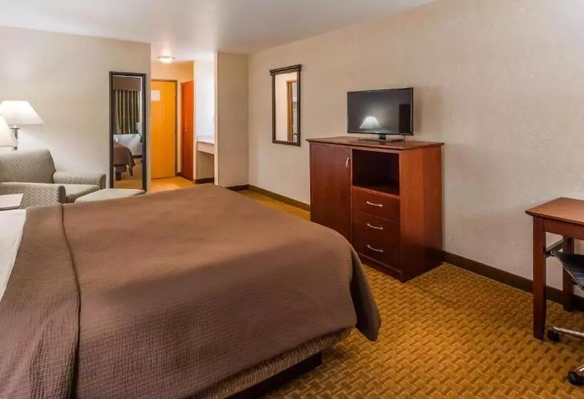 Standard-huone King-vuode, Best Western Wittenberg Inn