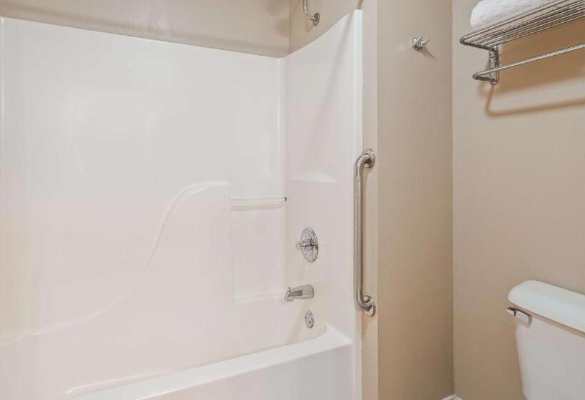 غرفة قياسية سرير كينج, Best Western Wittenberg Inn