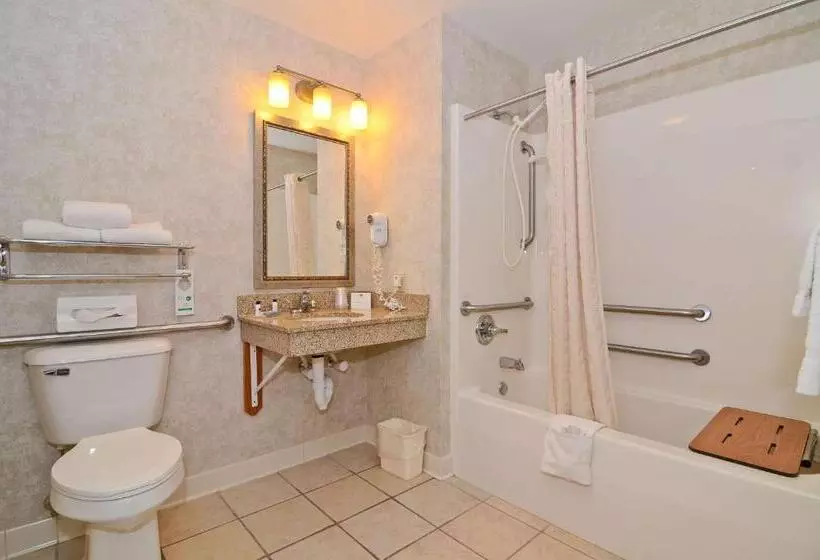 Standard-invahuone King-vuode, Best Western Wittenberg Inn