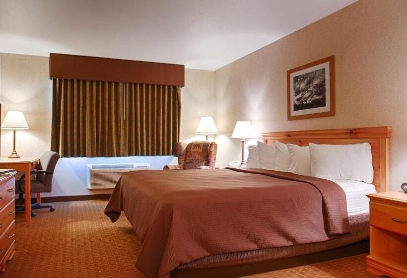 غرفة قياسية سرير كينج لذوى الإحتياجات الخاصة, Best Western Wittenberg Inn