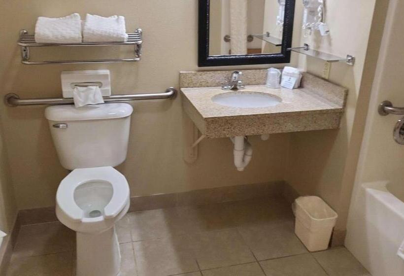 Номер Стандарт Кровать Кинг Адаптированный для Инвалидов, Best Western Wittenberg Inn
