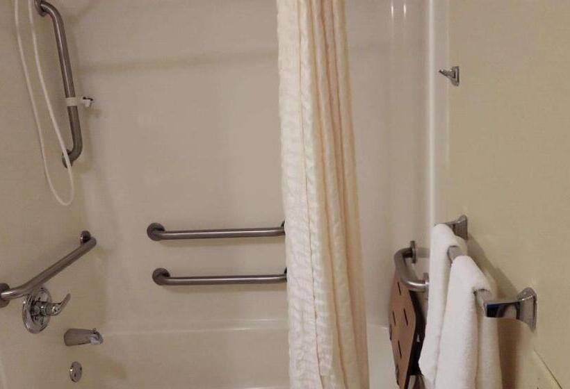 غرفة قياسية سرير كينج لذوى الإحتياجات الخاصة, Best Western Wittenberg Inn