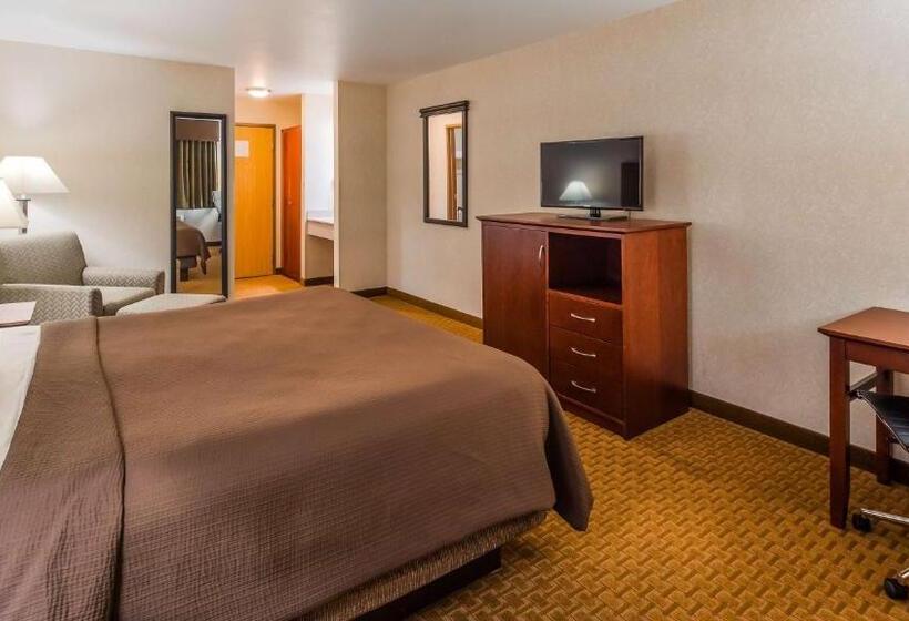 غرفة قياسية سرير كينج لذوى الإحتياجات الخاصة, Best Western Wittenberg Inn