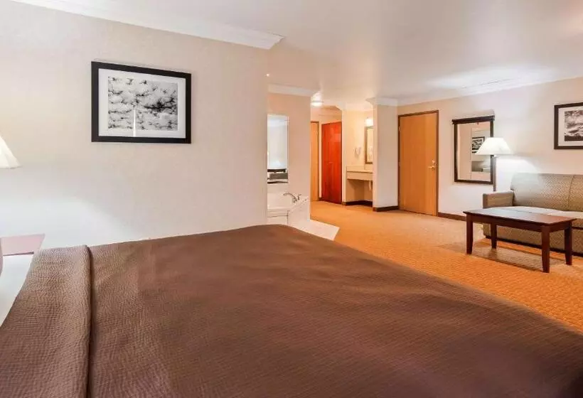 Sviitti Liikuntarajoitteisille, Best Western Wittenberg Inn