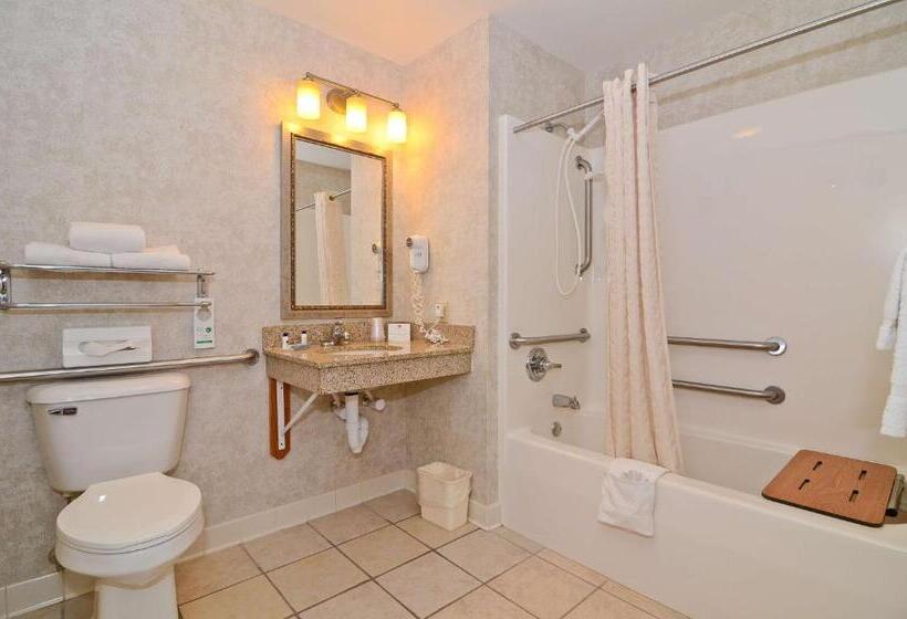 غرفة قياسية لذوى الاحتياجات الخاصة, Best Western Wittenberg Inn