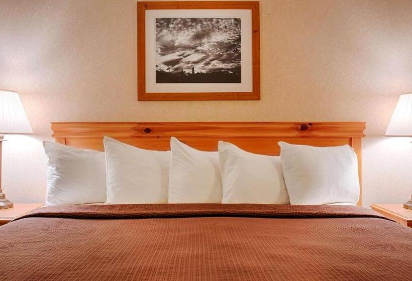 غرفة قياسية لذوى الاحتياجات الخاصة, Best Western Wittenberg Inn