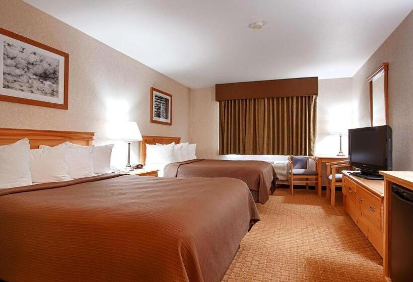 غرفة قياسية لذوى الاحتياجات الخاصة, Best Western Wittenberg Inn