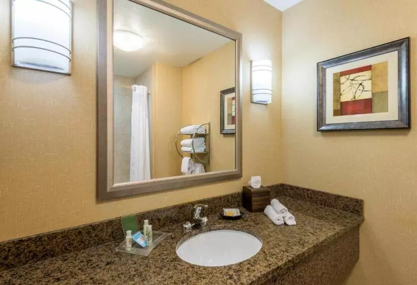 اتاق استاندارد, Holiday Inn Casper East Medical Center, An Ihg