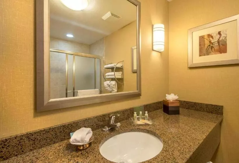 اتاق استاندارد با تخت بزرگ, Holiday Inn Casper East Medical Center, An Ihg