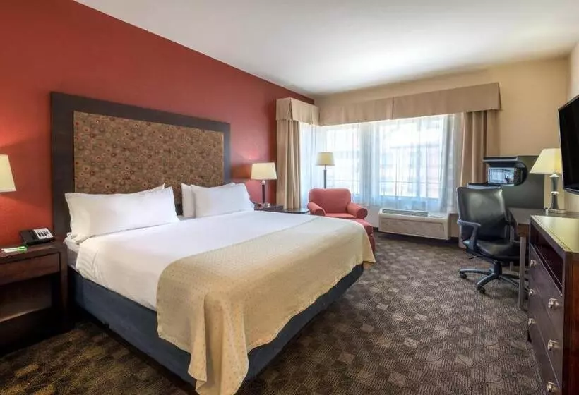 اتاق استاندارد با تخت بزرگ, Holiday Inn Casper East Medical Center, An Ihg
