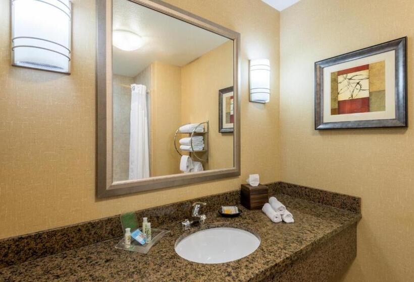 Номер Стандарт Адаптированный для Инвалидов, Holiday Inn Casper East Medical Center, An Ihg