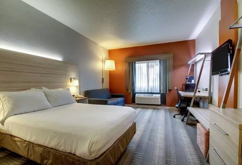身障者適用スタンダードルーム, Holiday Inn Express Milwaukee North Brown Deer/mequon By Ihg