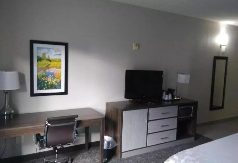 اتاق لوکس با تخت بزرگ, La Quinta By Wyndham Jamestown