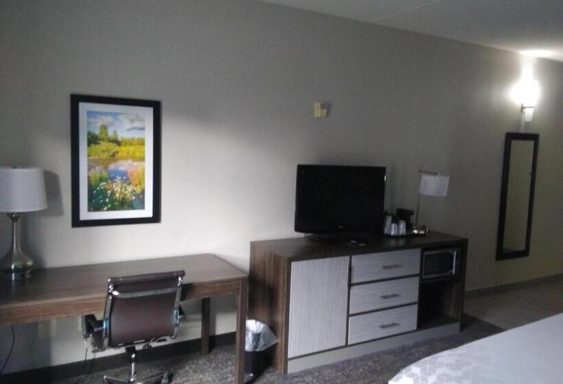 غرفة قياسية لذوى الاحتياجات الخاصة, La Quinta By Wyndham Jamestown