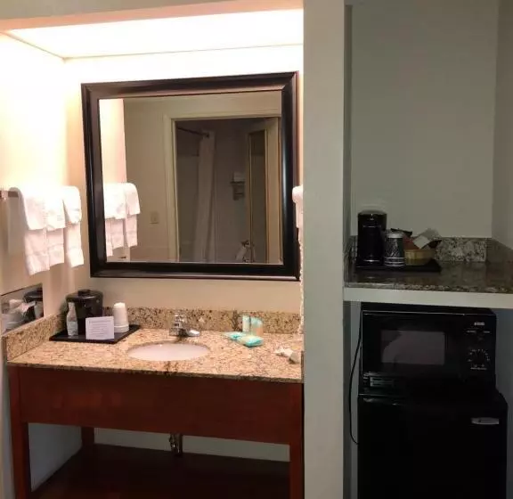 キングサイズベッドのスタンダードルーム, Millennium Inn