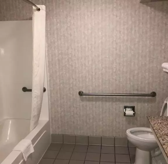 身障者適用キングサイズベッドルーム, Millennium Inn