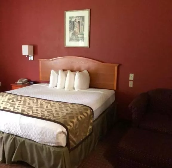 身障者適用キングサイズベッドルーム, Millennium Inn