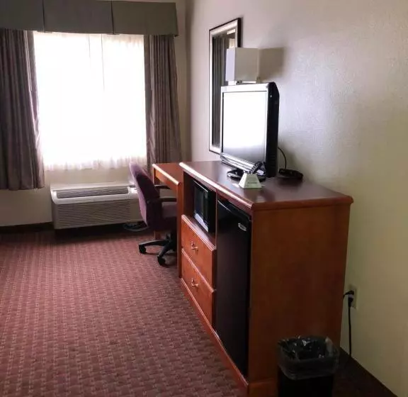 スタンダードルーム, Millennium Inn