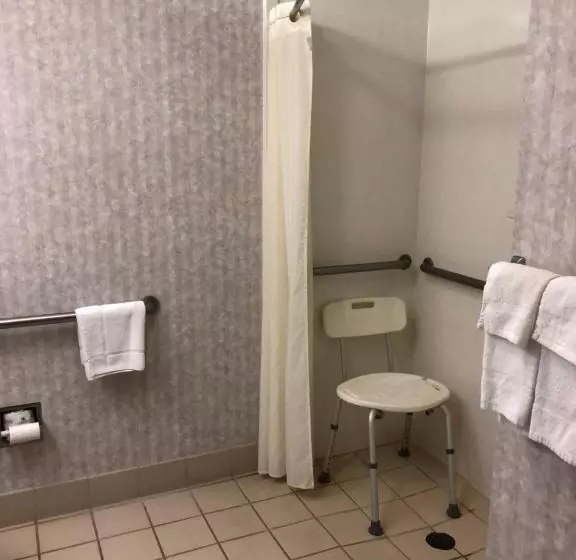 身障者適用クイーンサイズベッドルーム, Millennium Inn