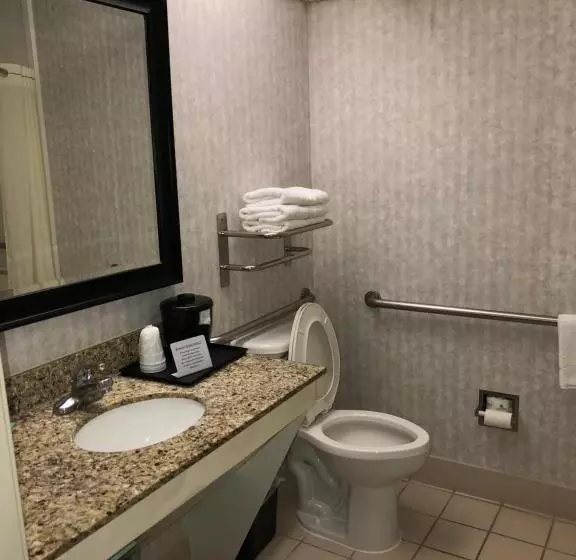 身障者適用クイーンサイズベッドルーム, Millennium Inn