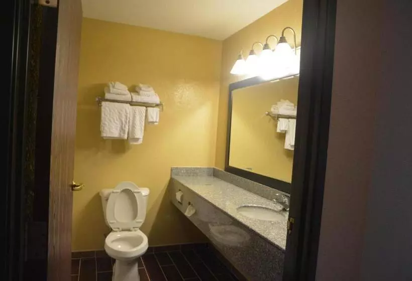 Standard-huone King-vuode, Countryside Inn And Suites