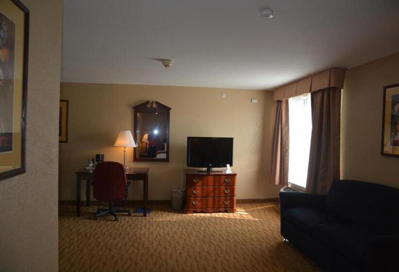 Люкс Кровать Кинг, Countryside Inn And Suites