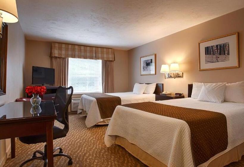 غرفه قياسيه سريرين مزدوجين, Silver Fox Inn