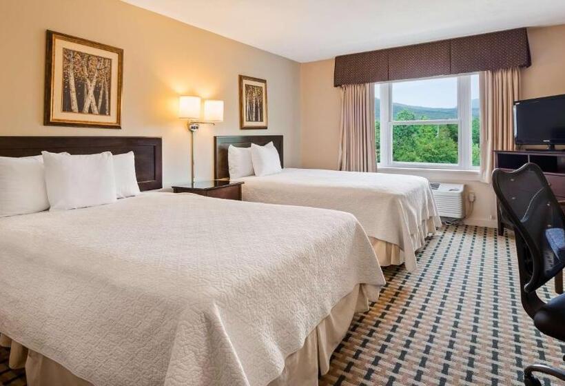 غرفه قياسيه سريرين مزدوجين, Silver Fox Inn