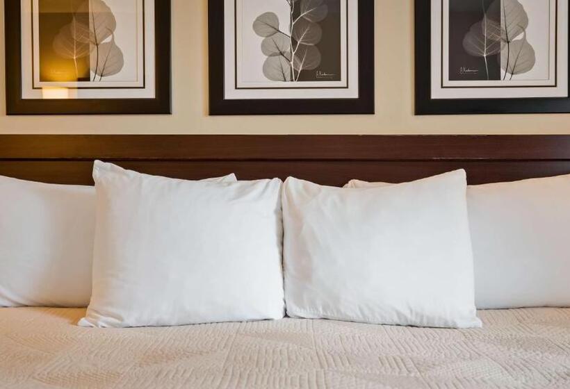 Номер Стандарт 2 Двуспальные Кровати, Silver Fox Inn
