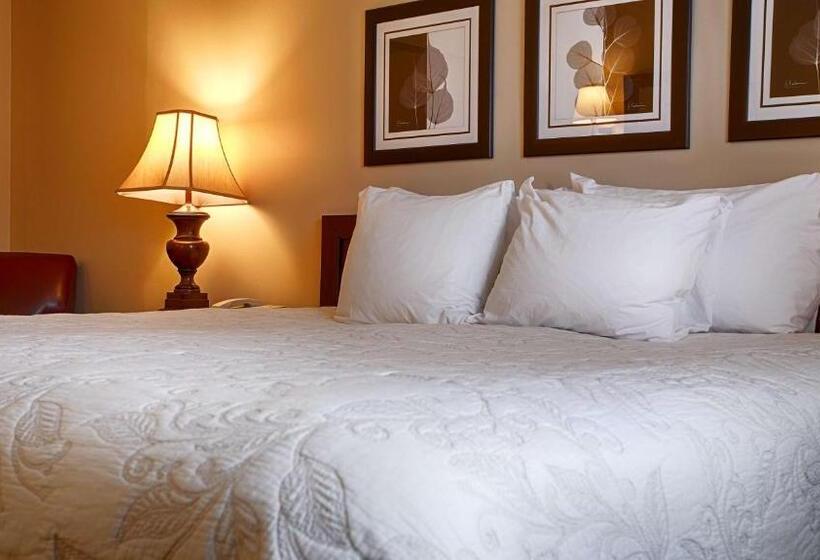 غرفة قياسية سرير كينج, Silver Fox Inn