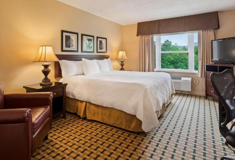 غرفة قياسية سرير كينج, Silver Fox Inn