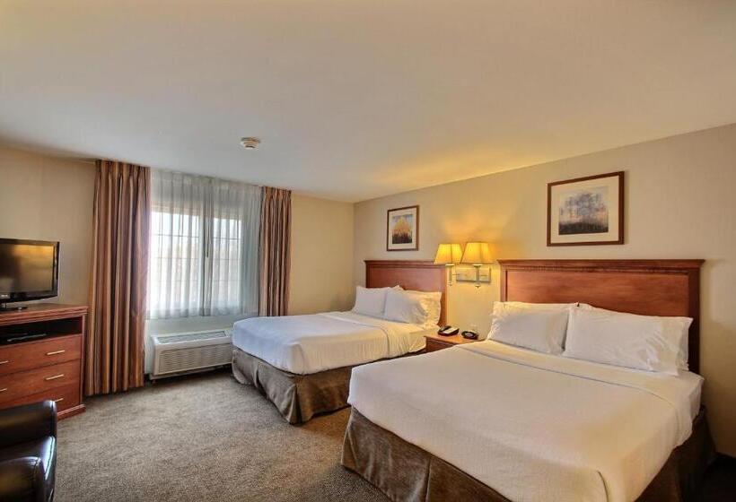 استودیوی استاندارد, Candlewood Suites Milwaukee Airport   Oak Creek, An Ihg