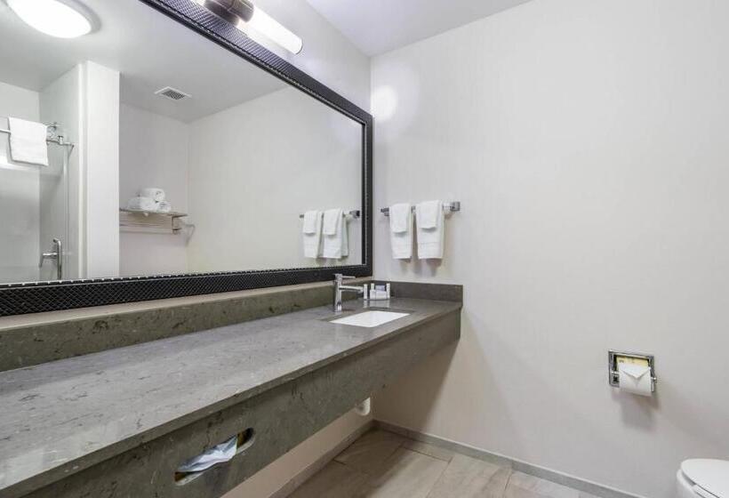 Студио Стандарт Кровать Кинг, Fairfield Inn & Suites Columbia