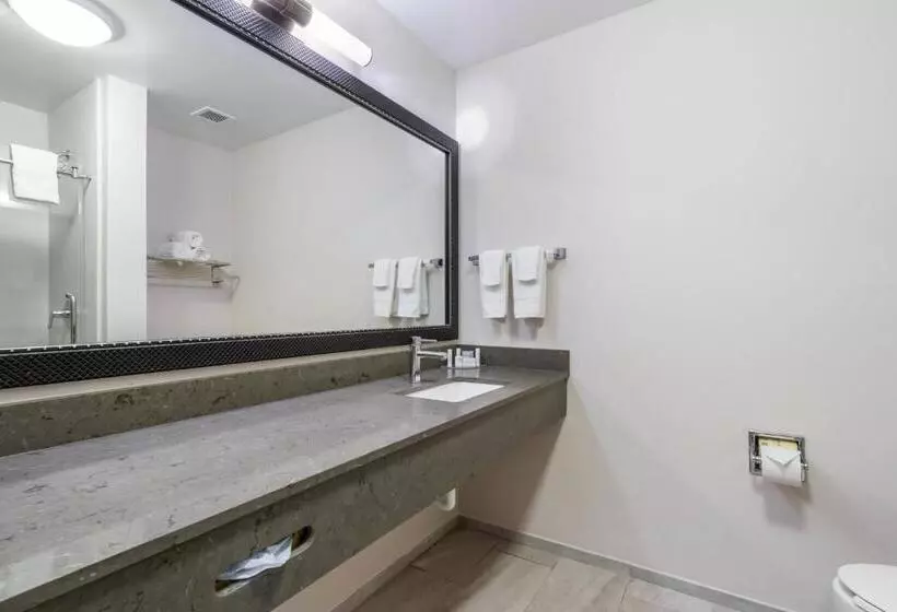 キングサイドベッドのスタンダードワンルーム, Fairfield Inn & Suites Columbia