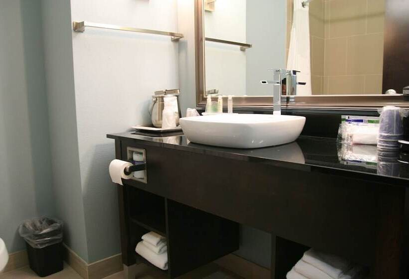 스위트, Holiday Inn Express And Suites Corpus Christi North By Ihg