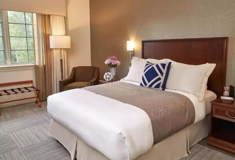 スタンダードルーム, Rizzo Center, A Destination By Hyatt