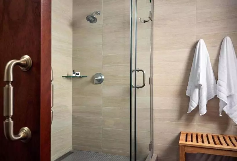デラックススイート, Rizzo Center, A Destination By Hyatt