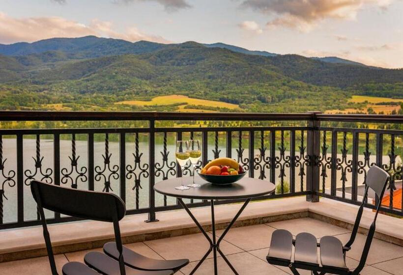 Представительский люкс с видом, Hyatt Regency Pravets Resort