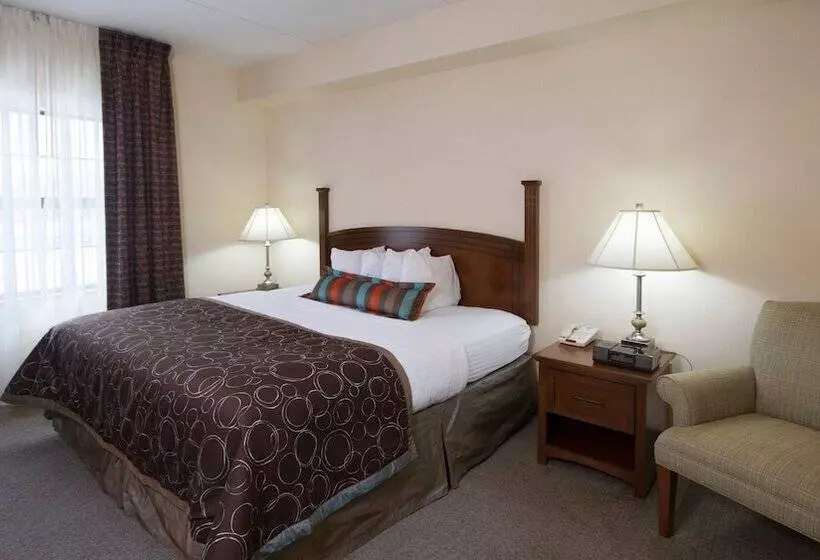２ベッドスイートルーム, Staybridge Suites Buffalo, An Ihg